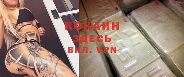 mdpv Богородицк